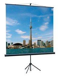 Экран на треноге Lumien 100&amp;quot; 180x180см Eco View LEV-100102 1:1 напольный рулонный