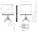 Экран на треноге Lumien 100&amp;quot; 180x180см Eco View LEV-100102 1:1 напольный рулонный