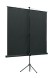 Экран на треноге Lumien 100&amp;quot; 180x180см Eco View LEV-100102 1:1 напольный рулонный