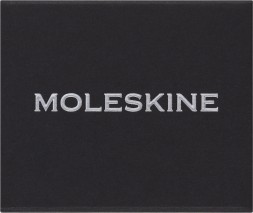 Шильд-символ Moleskine Zodiac Телец металл серебристый коробка с европод. PINTAURUSSILV