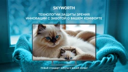 Телевизор QLED Skyworth 55&amp;quot; 55Q66H Eye Care Frameless черный 4K Ultra HD 60Hz MEMC DVB-T DVB-T2 DVB-C DVB-S DVB-S2 USB WiFi Smart TV