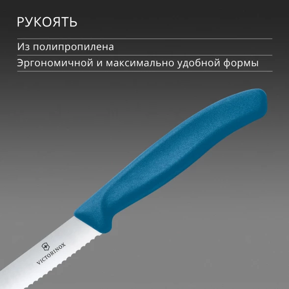 Нож кухонный Victorinox Swiss Classic 6.7832.C1 стальной универсальный для томатов лезв.110мм серрейт. заточка синий