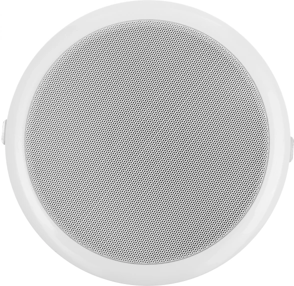 Громкоговоритель Tantos TSo-PW10a потолочный 10Вт белый (00-00026419)