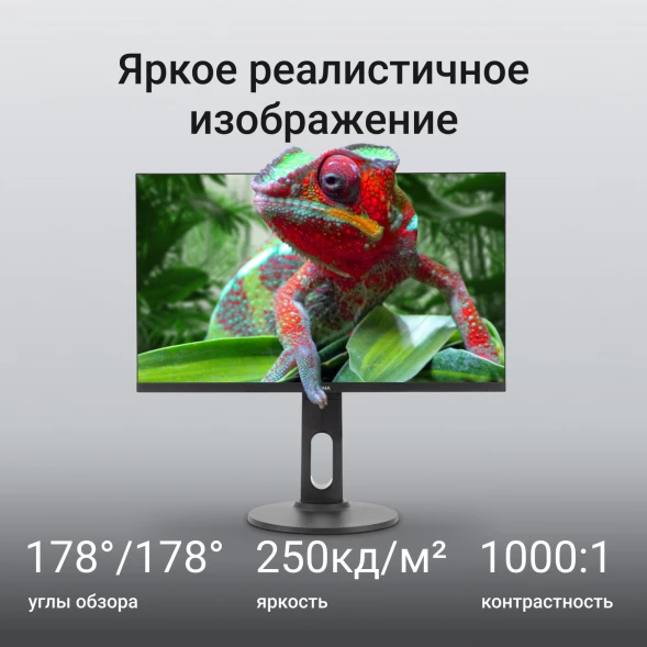 Монитор Digma 23.8&amp;quot; Progress 24P505F черный IPS LED 16:9 HDMI M/M матовая HAS Piv 250cd 178гр/178гр 1920x1080 100Hz G-Sync FreeSync VGA DP FHD 4.8кг