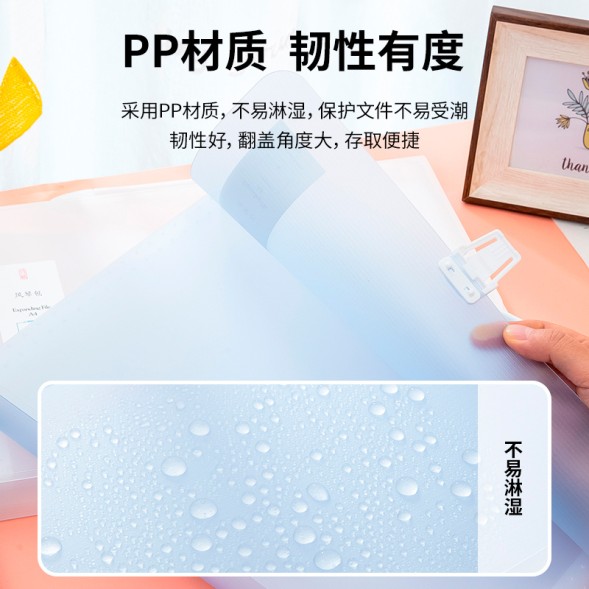 Папка-портфель Deli 5880 на кнопке 13 отдел. A4 полипропилен ассорти