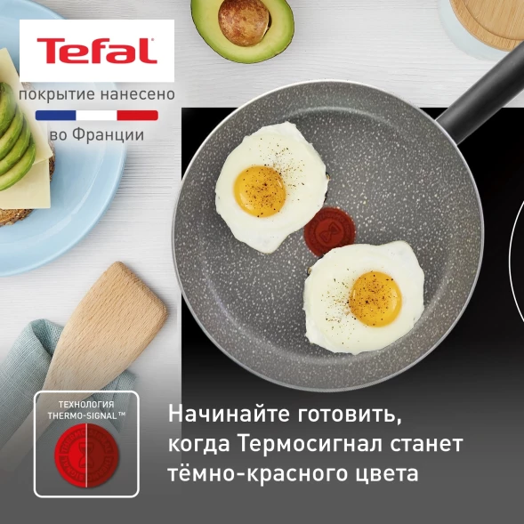 Сковорода Tefal Natural Cook 04234924 круглая 24см ручка несъемная (с крышкой) серый (9100052848)