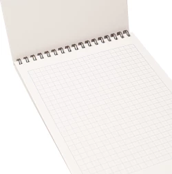 Блокнот Silwerhof A5 обложка картон 60л клетка гребень Одинокий воин (2шт)