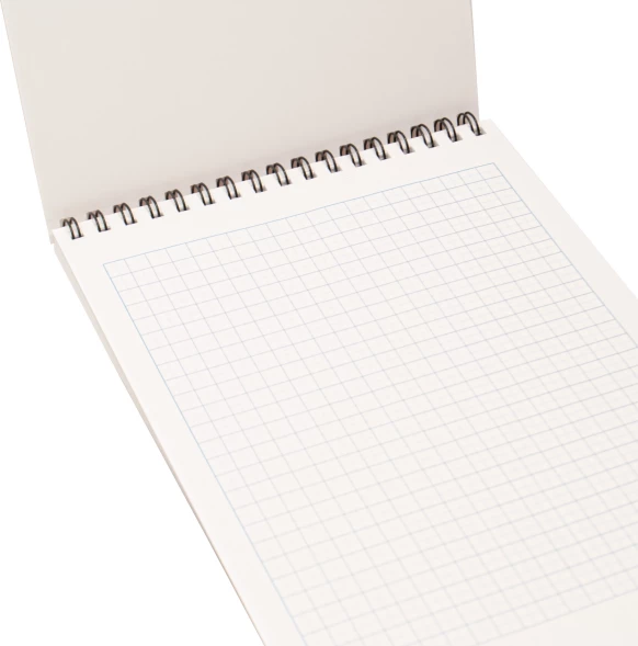 Блокнот Silwerhof A5 обложка картон 60л клетка гребень Одинокий воин (2шт)