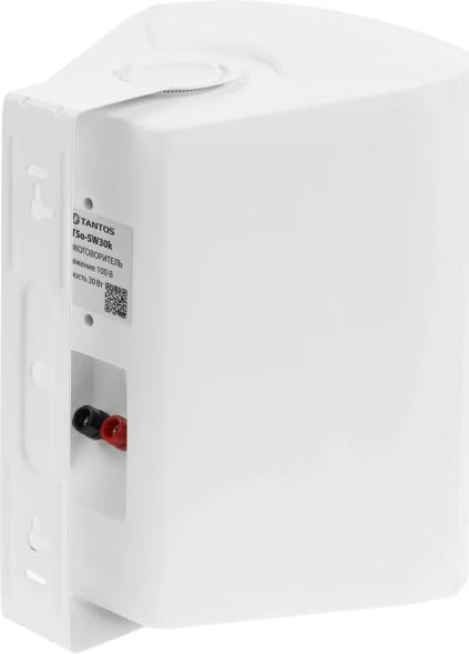Громкоговоритель Tantos TSo-SW30k настенный 30Вт белый (00-00006480)