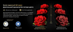 Телевизор QLED Skyworth 65&amp;quot; 65X67H NEXO Mini-LED черный/серый 4K Ultra HD 120Hz MEMC DVB-T DVB-T2 DVB-C DVB-S DVB-S2 USB WiFi Smart TV