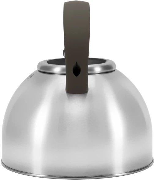 Чайник металлический Rondell Balance RDS-434 3л. стальной