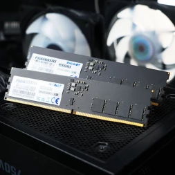 Память DDR5 16GB 6400MHz Patriot PSD516G64081C Signature RTL PC5-51200 CL52 DIMM 288-pin 1.1В single rank Ret