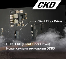 Память DDR5 16GB 6400MHz Patriot PSD516G64081C Signature RTL PC5-51200 CL52 DIMM 288-pin 1.1В single rank Ret