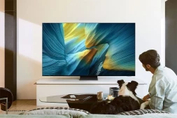 Телевизор OLED Samsung 55&amp;quot; QE55S95FAUXRU Series 9 черный графит/черный 4K Ultra HD 120Hz DVB-T2 DVB-C DVB-S2 USB WiFi Smart TV