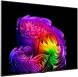 Телевизор OLED LG 65&amp;quot; OLED65G6RLA.ARU атласное серебро 4K Ultra HD 120Hz DVB-T2 DVB-C DVB-S2 USB WiFi Smart TV (RUS)