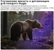 Телевизор LED LG 32&amp;quot; 32LB650B6LA.ARU черный HD 60Hz DVB-T DVB-T2 DVB-C DVB-S DVB-S2 USB WiFi Smart TV (RUS)