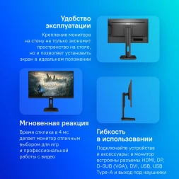 Монитор AOC 24&amp;quot; Professional X24P1(00/01) черный IPS LED 16:10 DVI HDMI M/M матовая HAS Piv 1000:1 300cd 178гр/178гр 1920x1200 60Hz VGA DP FHD USB 5.5кг