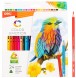 Карандаши цв. Deli EC00220 Color Emotion трехгран. липа 24цв. коробка/европод. (24шт)