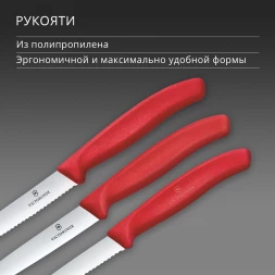 Набор ножей кухон. Victorinox Swiss Classic 6.7111.34C1 для овощей компл.:3предм. красный европодвес