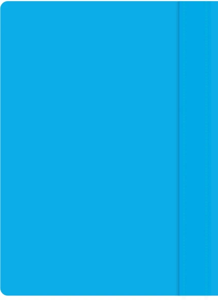 Папка-скоросшиватель Silwerhof Eco A4 прозрач.верх.лист пластик голубой 0.11/0.13