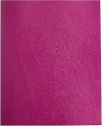 Тетрадь Buro 48л. клет. A5 202х163 1диз. бумвинил скоба бордовый