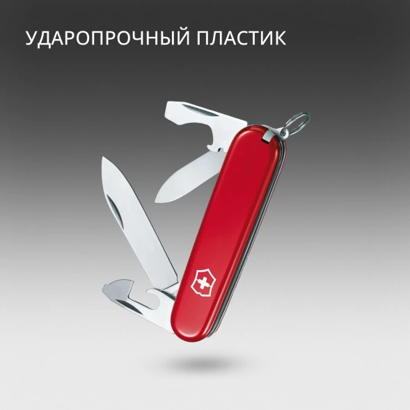 Нож перочинный Victorinox Recruit (0.2503) 84мм 10функц. красный карт.коробка
