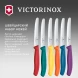Набор ножей кухон. Victorinox Swiss Classic 6.7836.6C1 компл.:6предм. ассорти европодвес