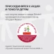Термос для напитков Rondell Tierno RDS-1657 1.5л. бордовый картонная коробка