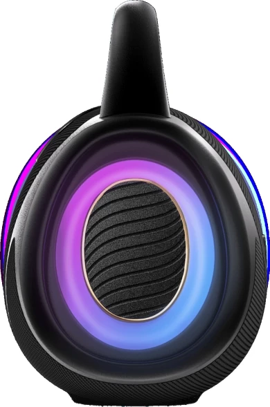 Колонка порт. Hisense VoyageBOOM черный 272W 4.1 BT/3.5Jack/USB 10200mAh