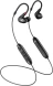 Наушники вкладыши Sennheiser IE 100 PRO Wireless 1.3м черный беспроводные bluetooth в ушной раковине (509171)