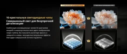 Телевизор QLED Skyworth 75&amp;quot; 75X67H Nexo Mini-LED черный/серый 4K Ultra HD 120Hz MEMC DVB-T DVB-T2 DVB-C DVB-S DVB-S2 USB WiFi Smart TV