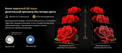 Телевизор QLED Skyworth 75&amp;quot; 75X67H Nexo Mini-LED черный/серый 4K Ultra HD 120Hz MEMC DVB-T DVB-T2 DVB-C DVB-S DVB-S2 USB WiFi Smart TV