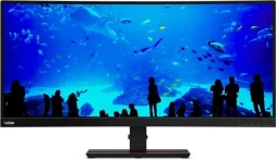 Монитор Lenovo 34&amp;quot; ThinkVision P34w-20 черный IPS LED 6ms 21:9 HDMI M/M HAS Piv 300cd 178гр/178гр 3440x1440 60Hz DP WQ HD 2K (1440p) USB 10.8кг