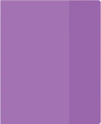 Обложка Silwerhof 2026956 Цветные для тетради (набор 10шт) ПВХ 130мкм матовая прозр. 210x350мм