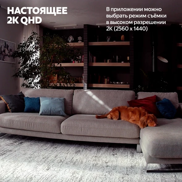 Камера видеонаблюдения IP Yandex YNDX-00582GRY Wi-Fi 5.85-5.85мм цв. корп.:серый