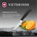 Нож кухонный Victorinox Swiss Classic (6.7703) стальной для чистки овощей и фруктов лезв.100мм прямая заточка черный