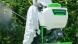 Опрыскиватель Greenworks G24BPSII аккум. ранц. 15л белый/зеленый (5300307UA)
