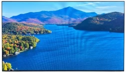 Панель Ikar 55&amp;quot; ПВ 55-117-300 (0.88 мм) черный IPS LED 8ms 16:9 DVI HDMI M/M матовая 1200:1 700cd 178гр/178гр 3840x2160 VGA DP UHD USB 40кг (RUS)