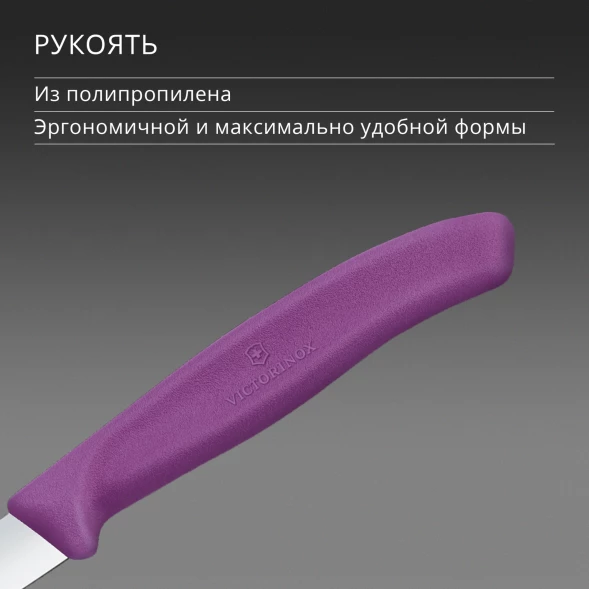 Нож кухонный Victorinox Swiss Classic (6.7605.C1) стальной универсальный для чистки овощей и фруктов лезв.80мм прямая заточка пурпурный