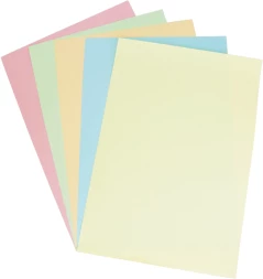 Бумага Silwerhof DAILY A4/80г/м2/100л./радуга пастель (5цветов) общего назначения(офисная)