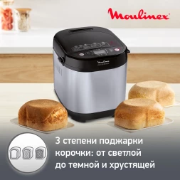 Хлебопечь Moulinex Pain &amp;amp; Delices OW240E30 650Вт серебристый/черный