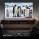 Телевизор QLED Hyundai 65&amp;quot; H-LED65QBU7500 Android TV Frameless черный/серебристый 4K Ultra HD 60Hz DVB-T DVB-T2 DVB-C DVB-S DVB-S2 USB WiFi Smart TV
